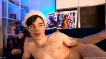 Waynenorth  19-12-2021 video kitty